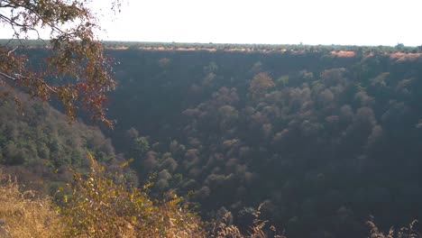 Toma-Panorámica-De-Una-Zanja-En-Un-Denso-Bosque-De-Morena,-India