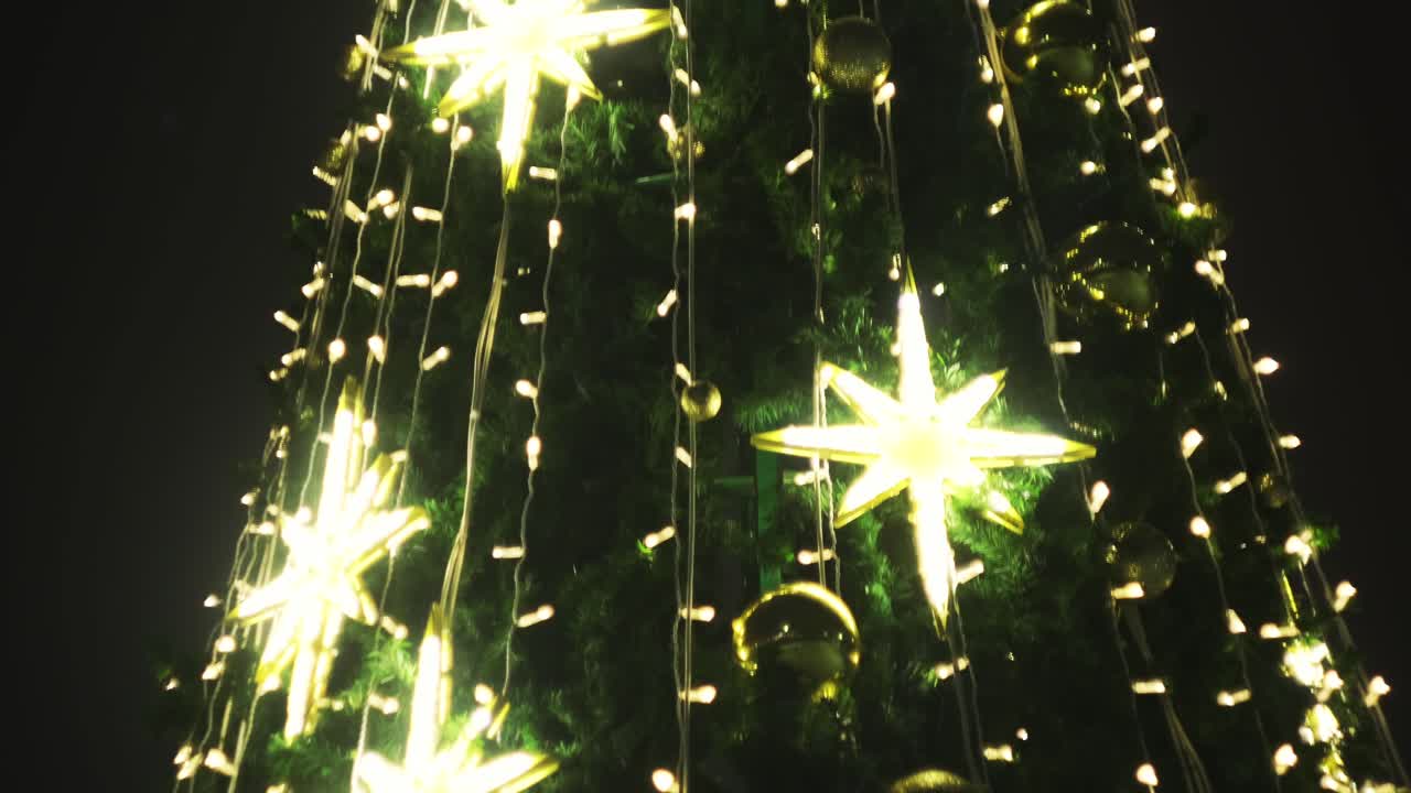 밤에 크리스마스 트리