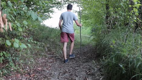 A-man-walks-on-a-footpath-in-forest,-daytime,-summer-season