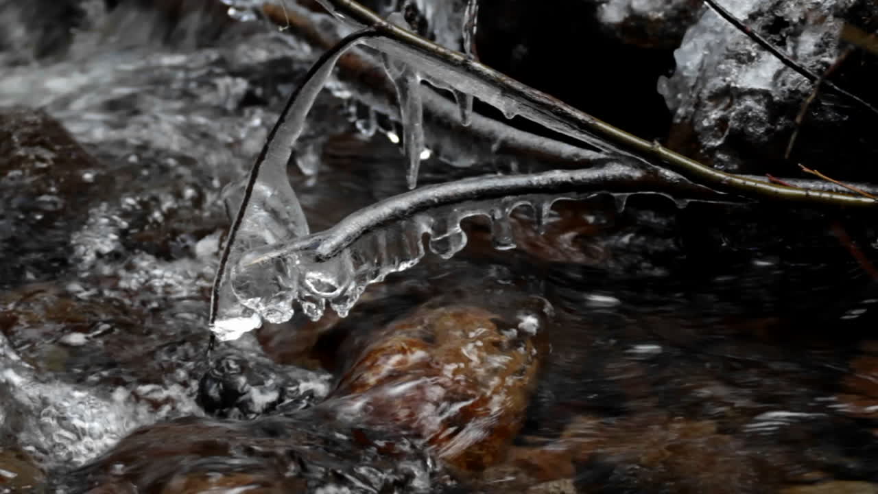 los carámbanos cuelgan de una ramita sobre un pequeño arroyo en invierno