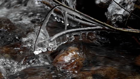 icicles hang from a twig over a small stream in the winter