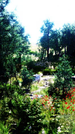 a beautiful path through a lush green forest with wildflowers in the foreground