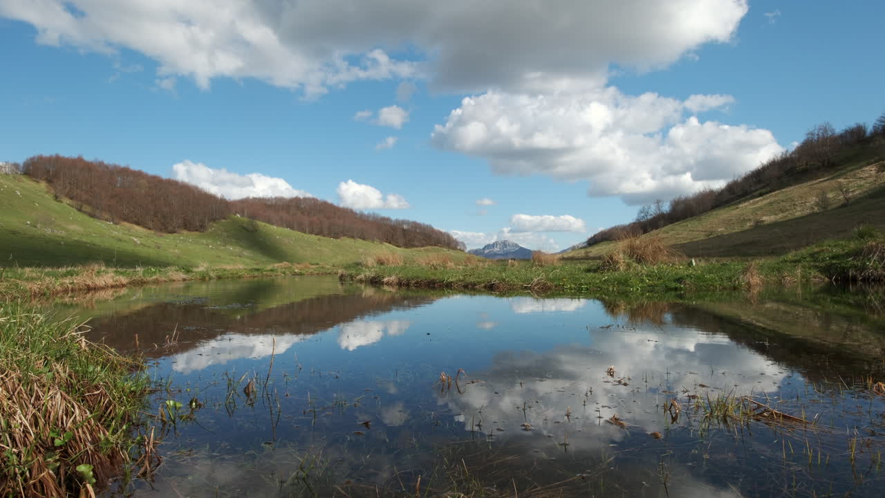 fotografía estática de un arroyo de montaña limpio y potable con plantas acuáticas