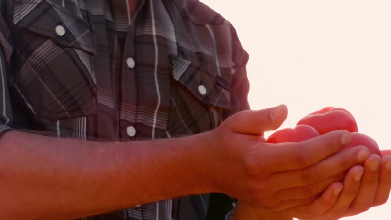 feliz hombre guapo sosteniendo algunos tomates