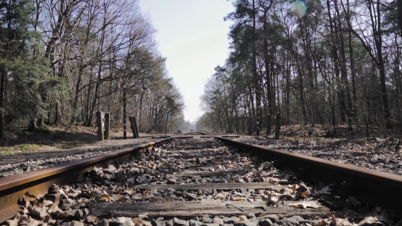 숲 을 가로질러 열차 트랙