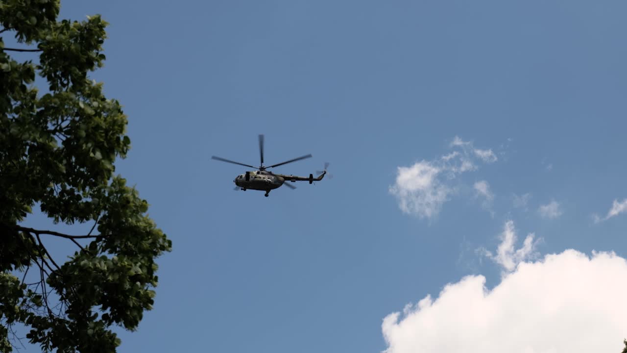 나무 위 하늘에서 헬리터