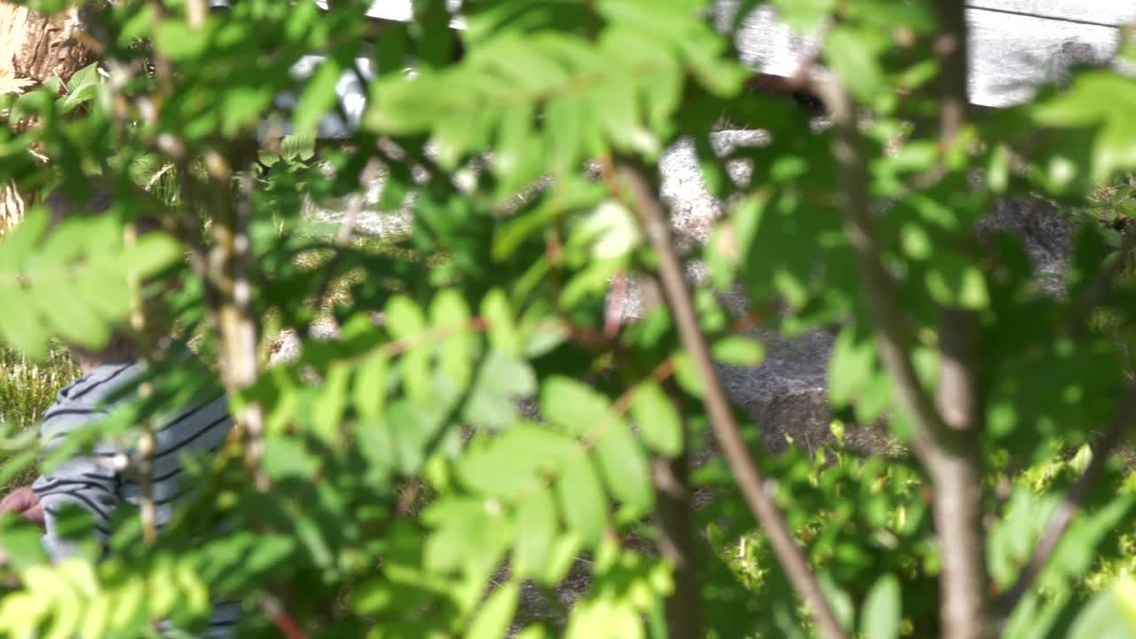 lindo niño de un año caminando en la hierba del bosque alto