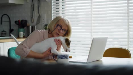 video of senior woman with dog using laptop at home