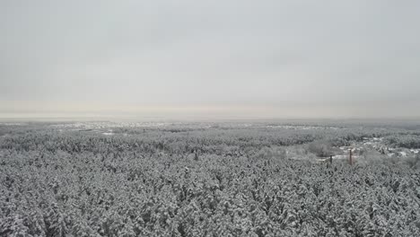 Antena:-Tiro-Giratorio-De-Bosque-Y-Ciudad-En-El-Fondo-En-Un-Día-De-Invierno