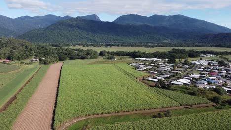 4K Drone shot of a sugarcane plantation with mountains near a small rural town in North Queensland, Australia