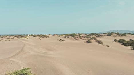 Aerial-view-low-over-sandbanks-and-vegetation-at-the-Dunes-of-Bani,-in-Dominican-Republic