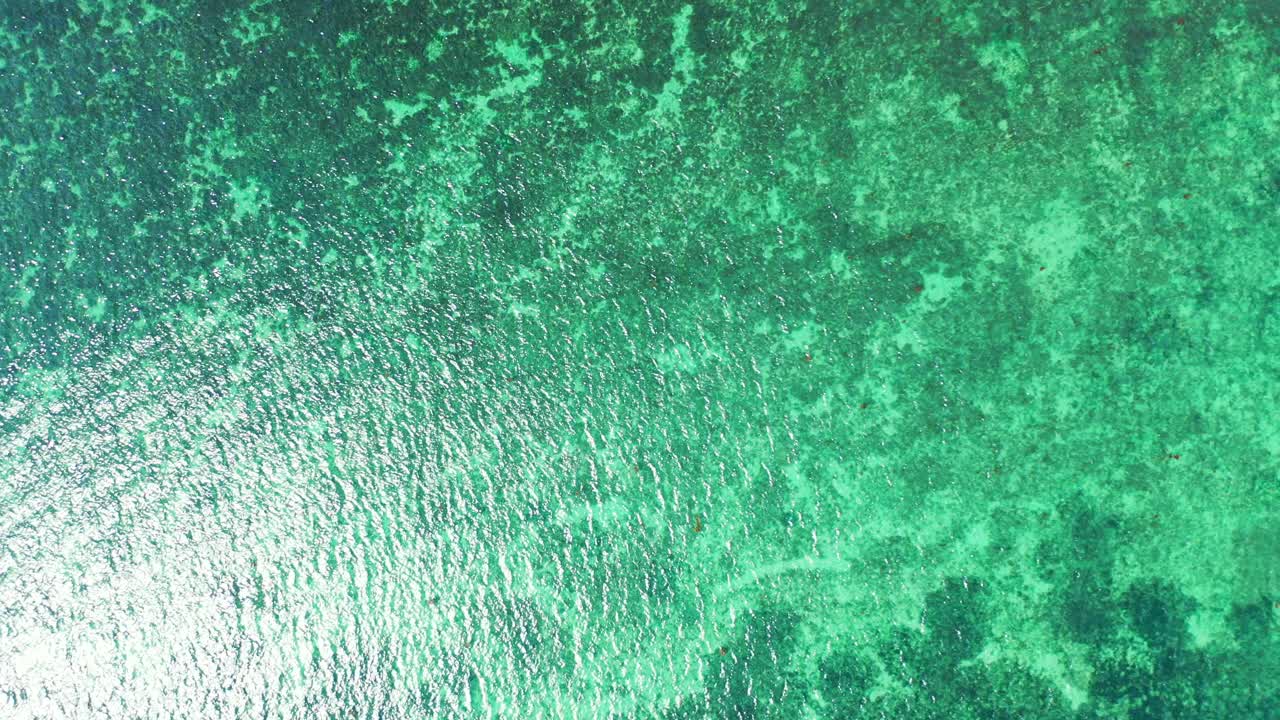 Green sea texture with coral reefs growing under calm clear water of shallow lagoon reflecting sunlight on a hot summer day, Caribbean