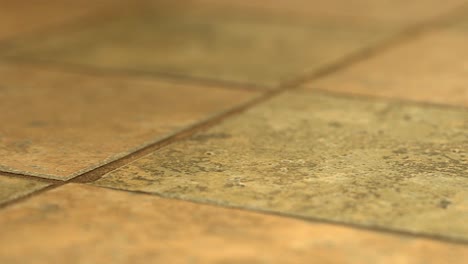 flooring tiles newly installed on bathroom floor