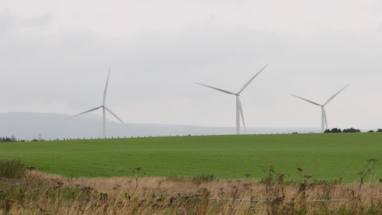 Wind turbines spinning in a green field