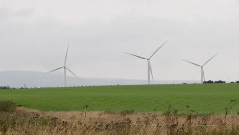 wind turbines spinning in a green field