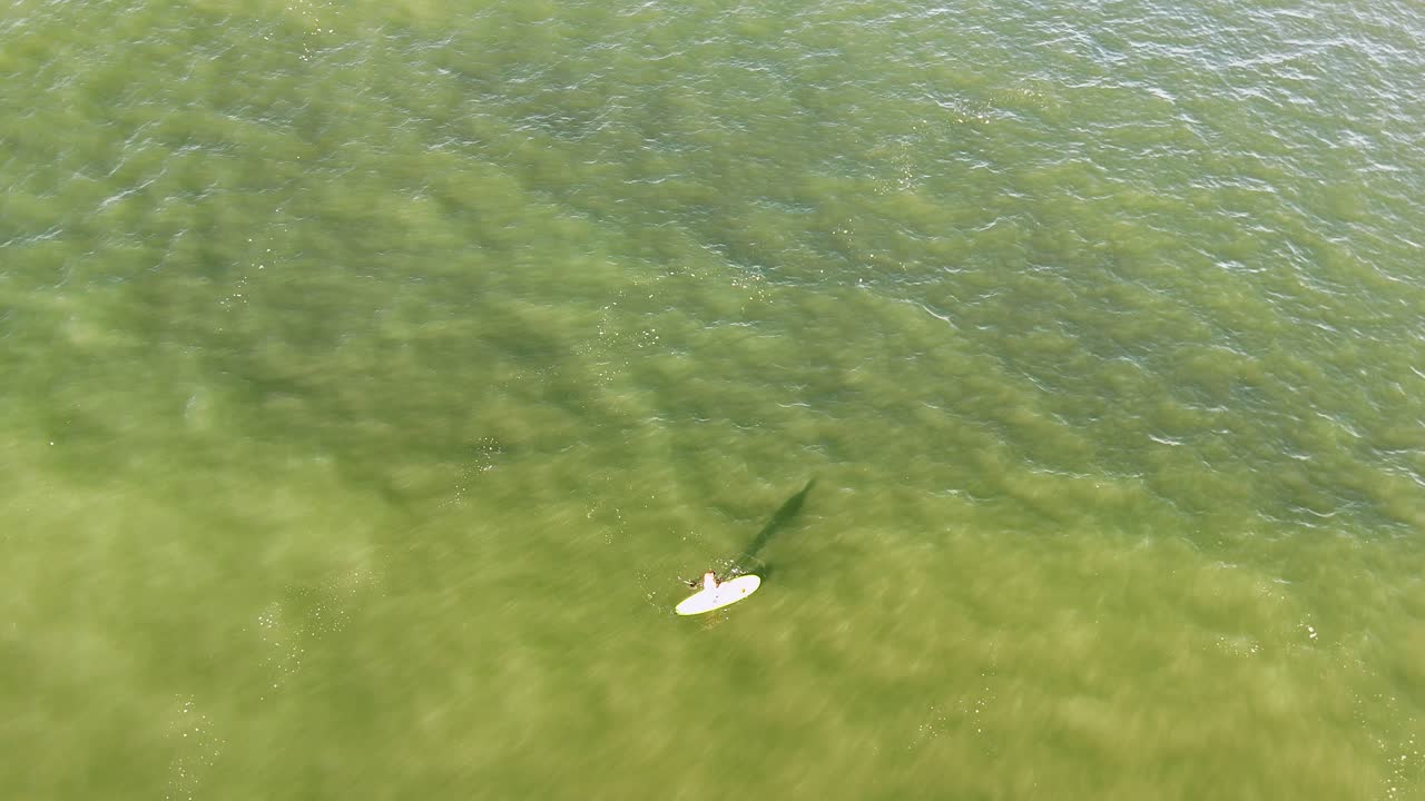 Drone captures a lone paddleboarder gliding over clear, green waters under bright sunlight, creating a serene and peaceful scene