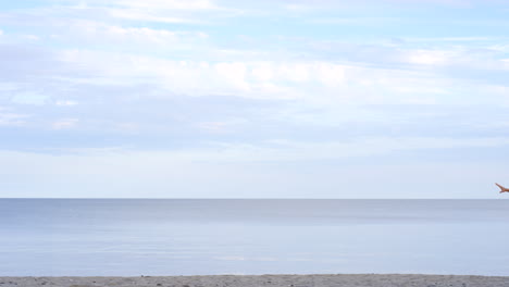 Der-Strand-Ist-Ein-Großartiger-Ort,-Um-Sich-Zu-Verirren