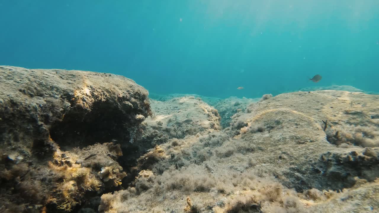 cámara moviéndose a través de un arrecife de coral en el fondo del mar en el mar mediterráneo