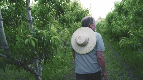 Granjero-Local-Caminando-En-Un-Jardín-Verde-Con-árboles