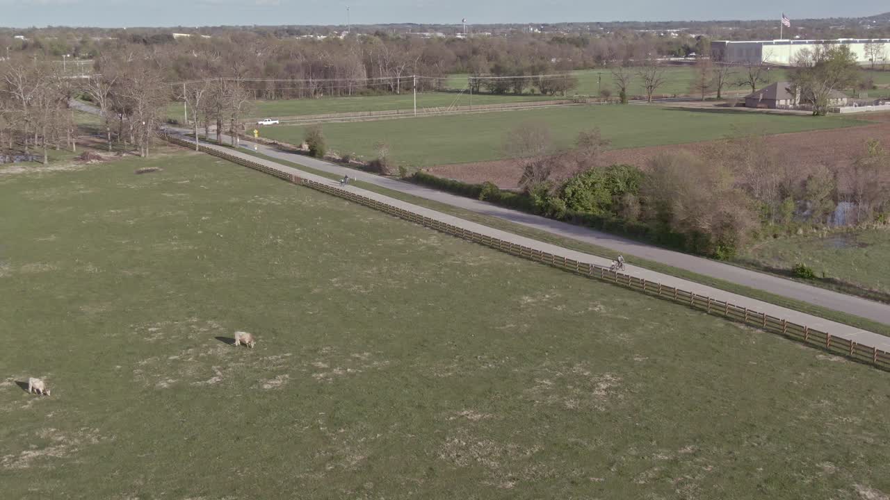 aerial b-roll of walkers and bicyclists enjoying the afternoon