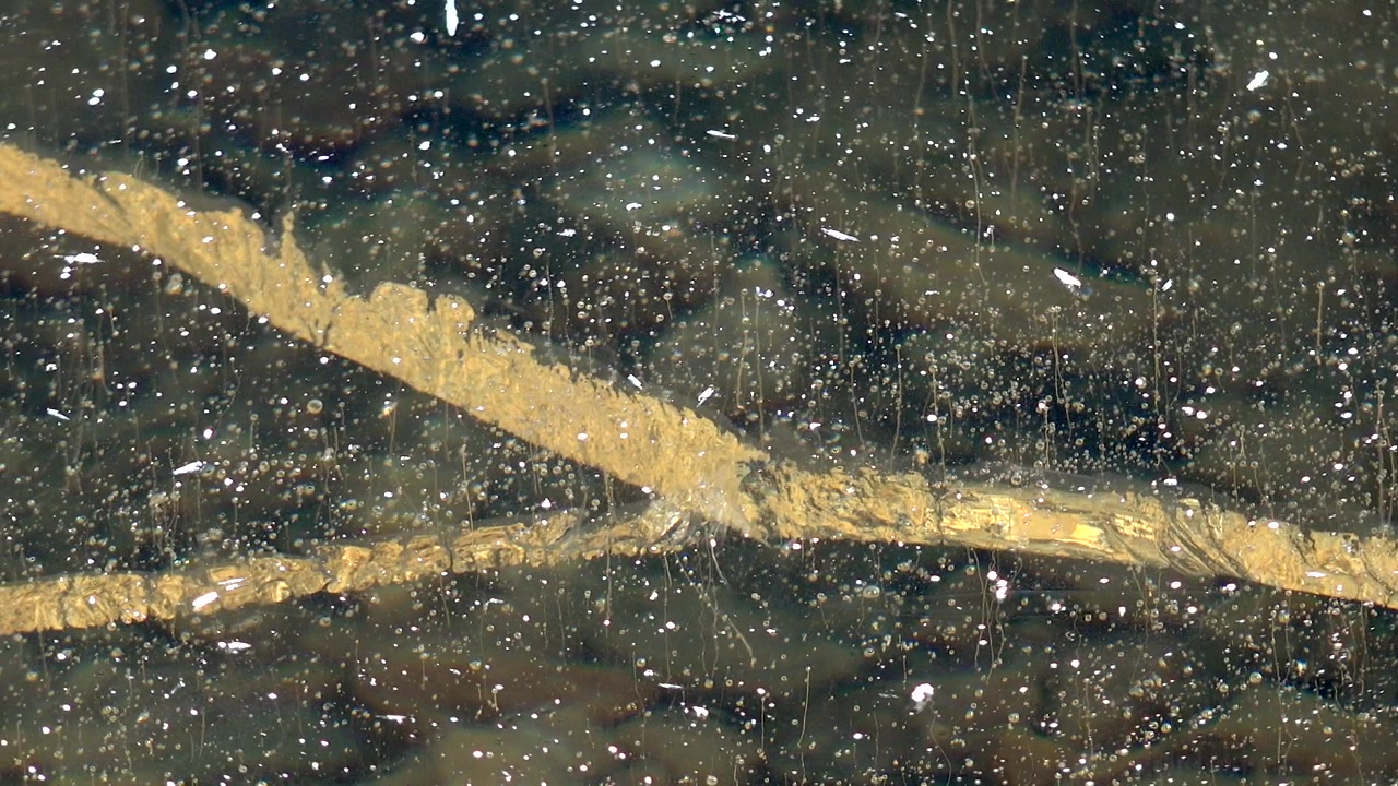 Rami d'albero intrappolati sotto il ghiaccio trasparente di un lago ghiacciato