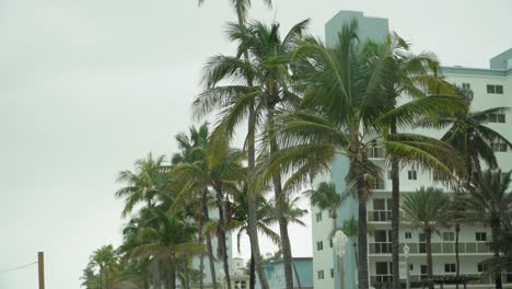 tormenta tropical
