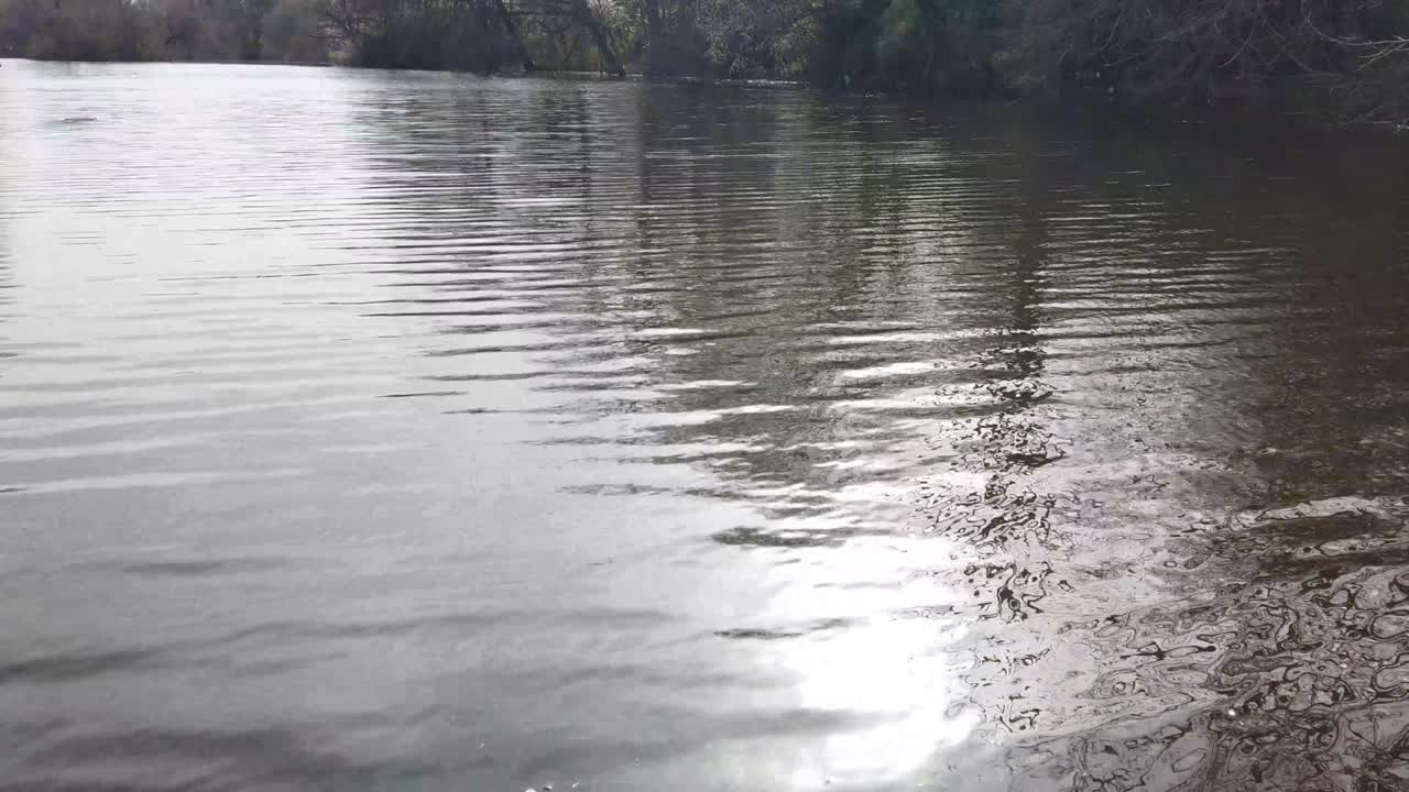 반이는 물결 모양의 호수 표면