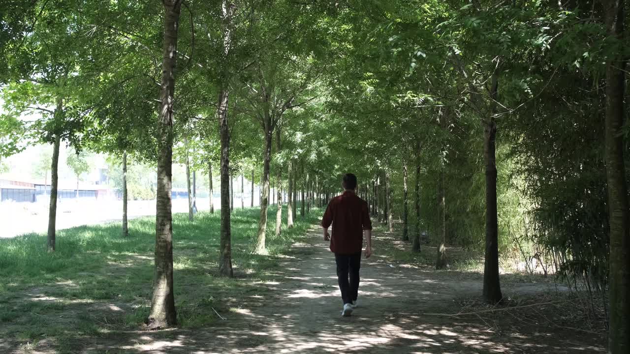 나무 사이를  ⁇ 는 것