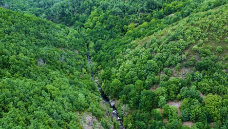 Rio-bibei,-bibay-river-winds-through-lush-tree-forest-in-zamora-spain