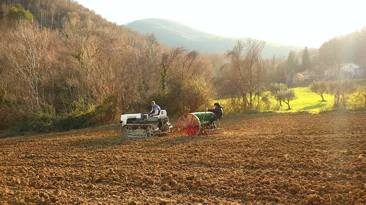 couple sowing sainfoin in the field with tractor and traditional seeder at sunset, slow motion shot