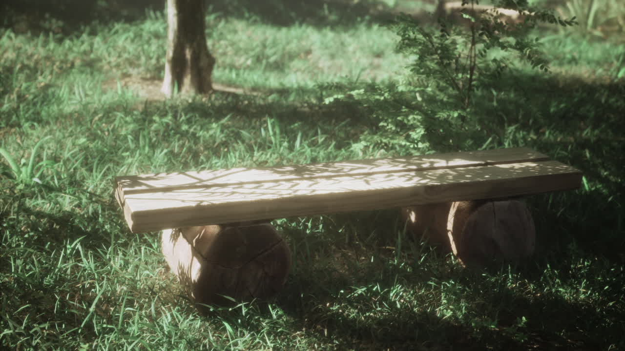 Natural wooden bench on a grassy field under soft sunlight in a serene park
