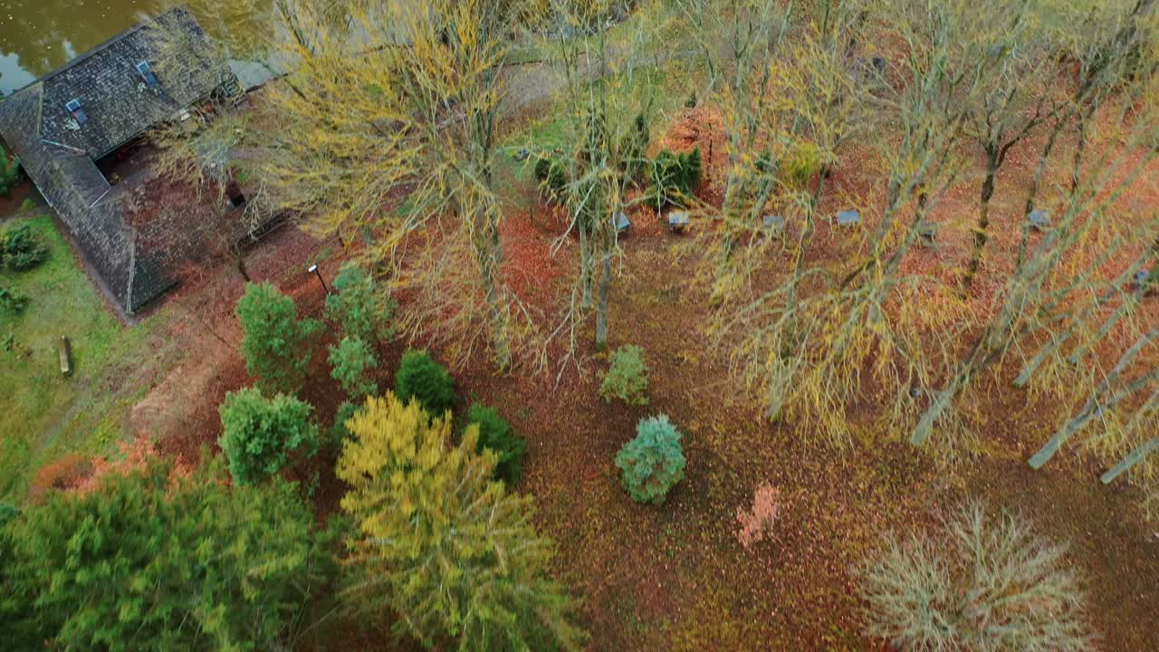 Forest view from above. Aerial top view of forest tree