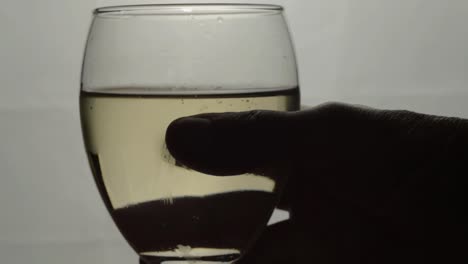 hand holding glass of white wine silhouette close up shot