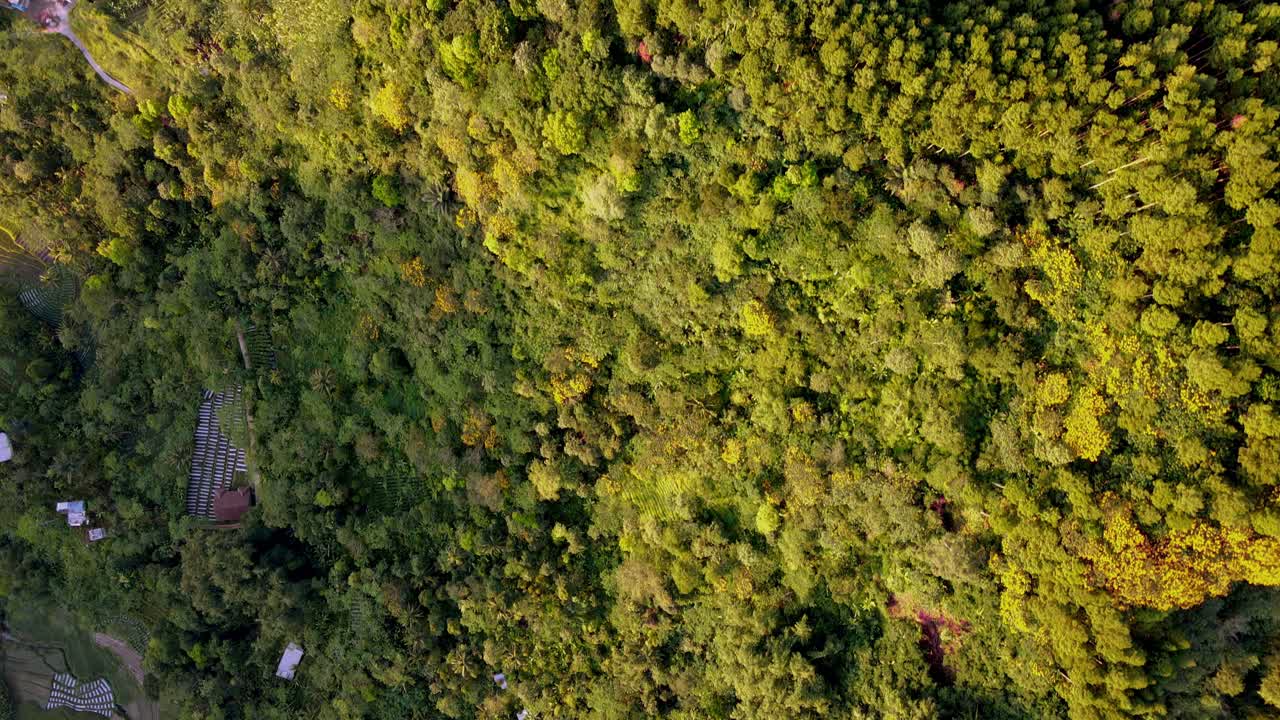 vista aérea de arriba hacia abajo de una aldea en la base de una montaña cubierta por una selva tropical