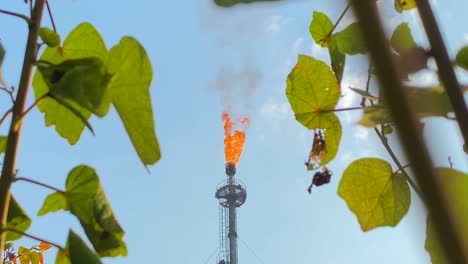 Gas-plant-flare-stack-torch-flaming,-nature-around-area,-close-up,-static