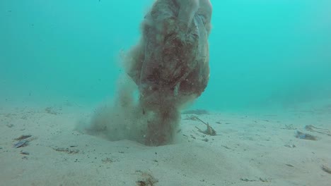 a scuba diver removes a discarded plastic bag from the ocean