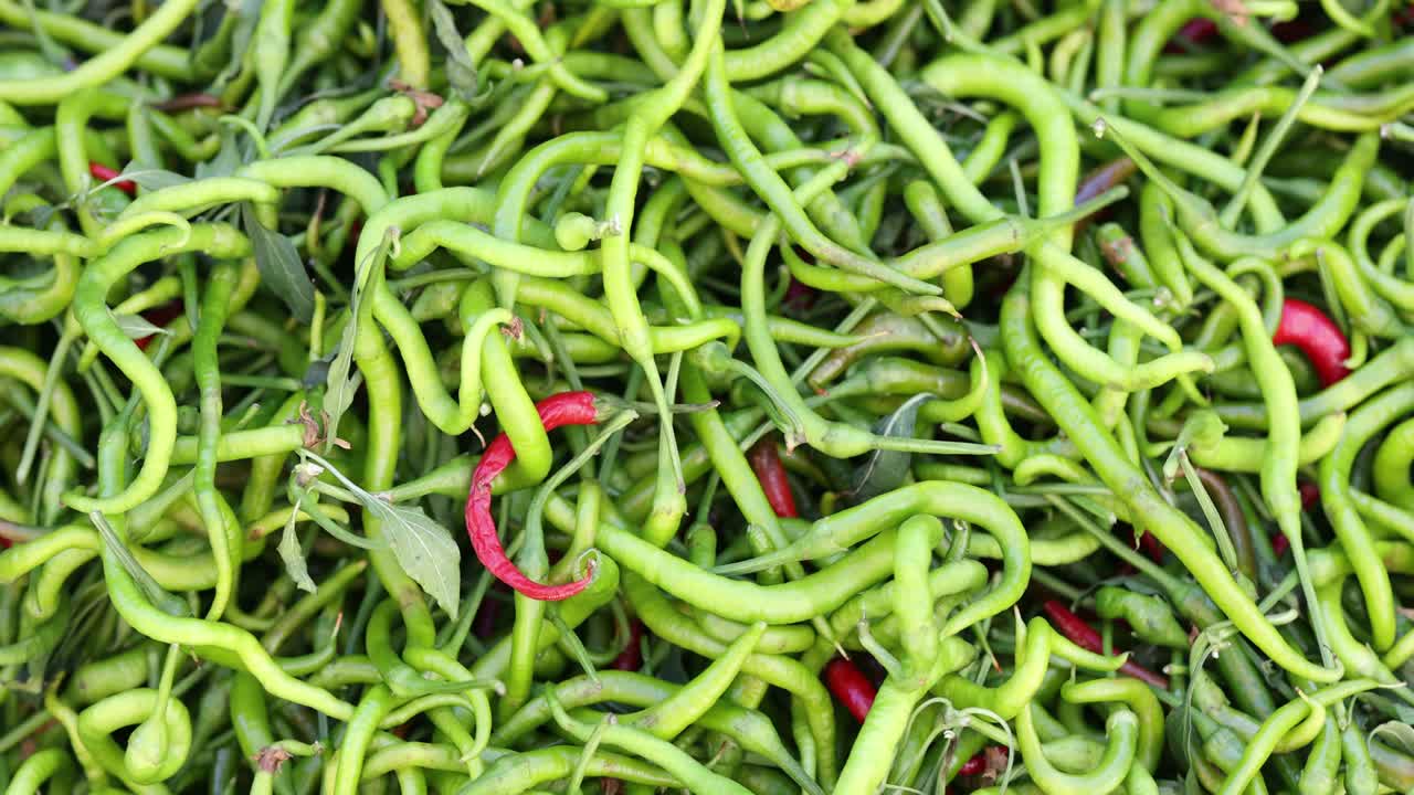 초록색과 은 리