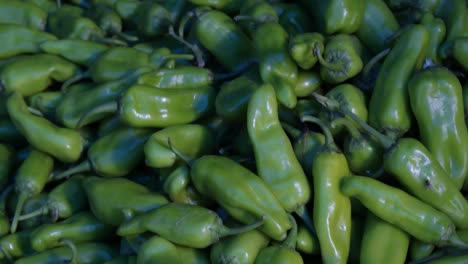 chile verde orgánico fresco de la granja de cerca desde diferentes ángulos