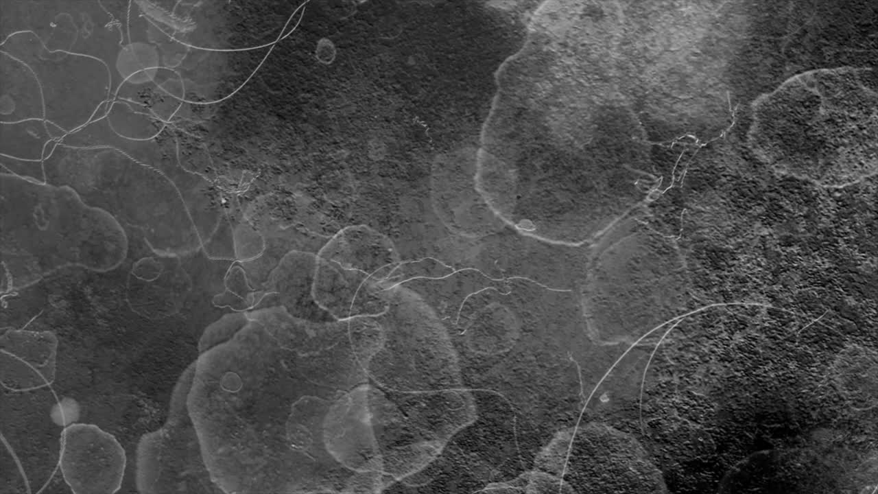 Dynamic Black and White Abstract Background with Organic Patterns