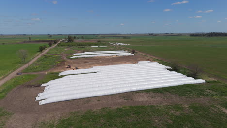 aerial pan right drone flying over a light green field with white grain bags, blue sky with some clouds.