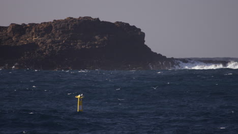 Una-Estación-De-Escucha-De-Tiburones-Se-Encuentra-En-Medio-De-Un-Océano-Agitado-Frente-A-La-Costa-De-Kiama,-En-La-Costa-Este-De-Nueva-Gales-Del-Sur,-Australia.