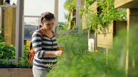 woman in city farm shopping for plants