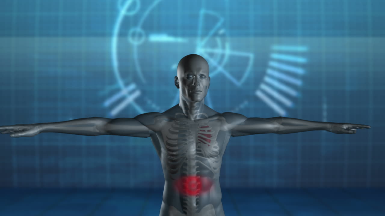 figura humana giratoria con el estómago resaltado