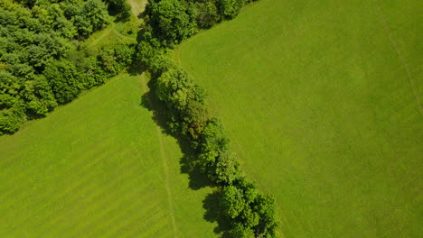 Luftaufnahme-Einer-Flachen-Landwirtschaftlichen-Wiese