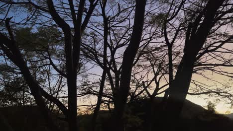 colorful sunset timelapse