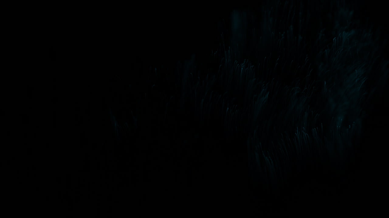 Bright Glow Particles Intro Element