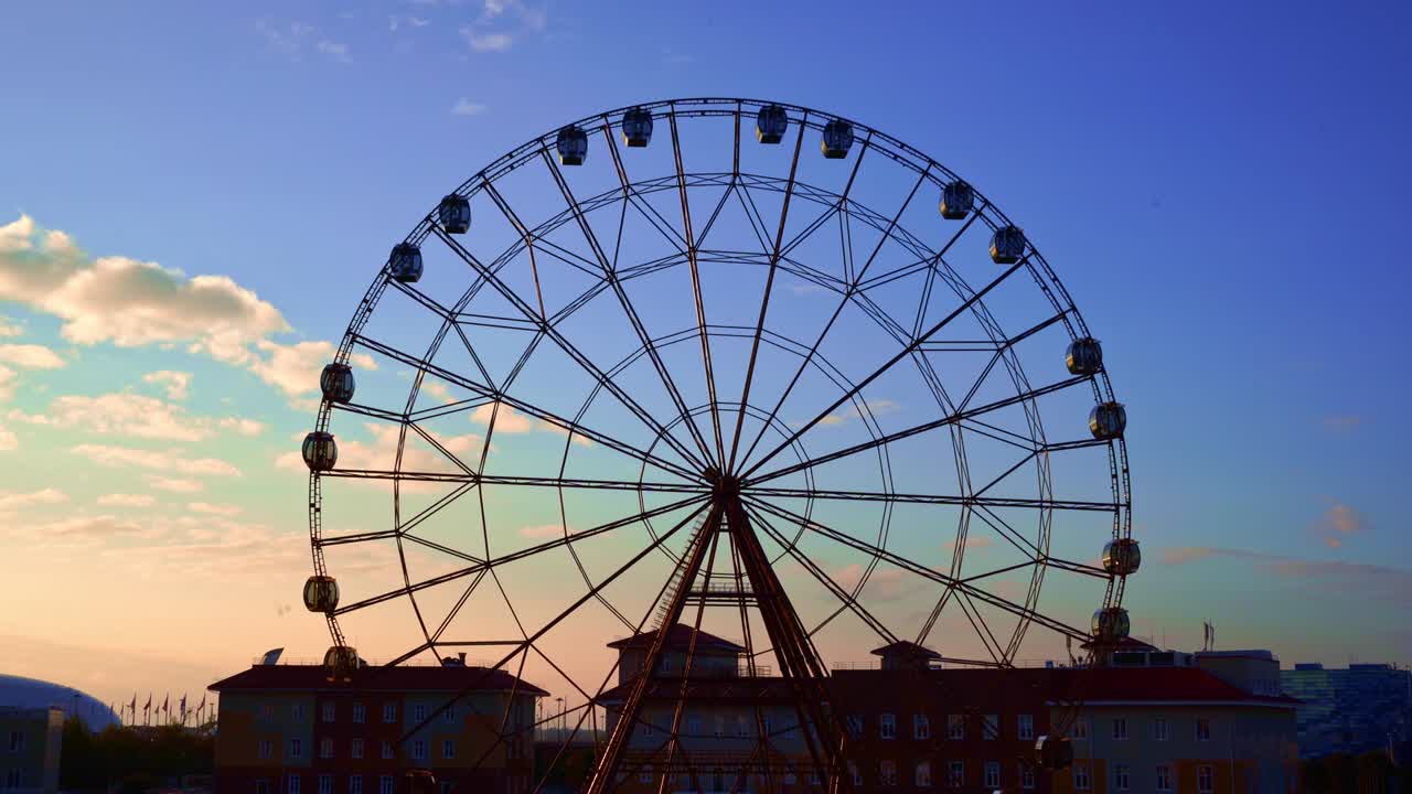 파란 하늘을 향한 페리스.
