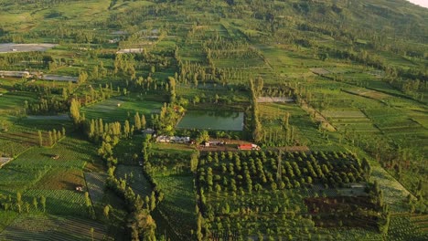 artificial lake as water supplies for agriculture in the middle of tobbaco plantation and trees