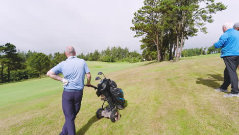 golf players playing golf and standing with clubs and talking on golf course on cloudy day