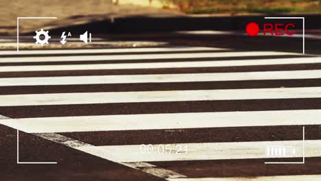 Filming-zebra-crossing-in-fast-motion-on-a-digital-camera